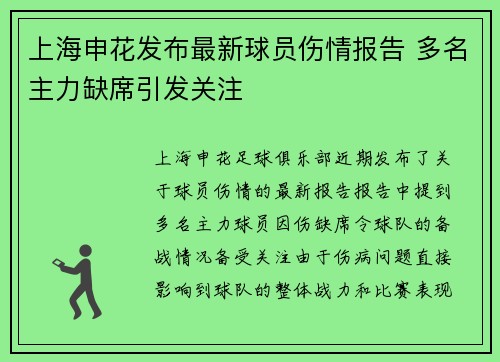 上海申花发布最新球员伤情报告 多名主力缺席引发关注